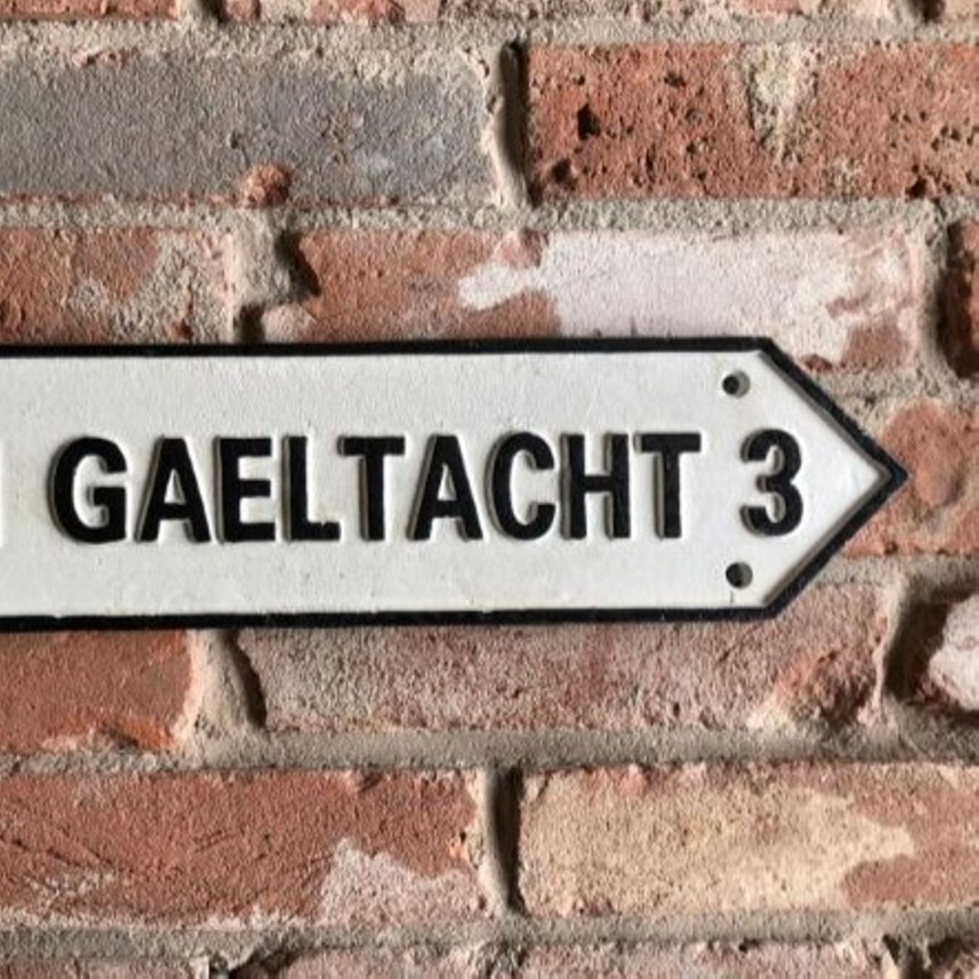 Gaeilge, la langue des Irlandais